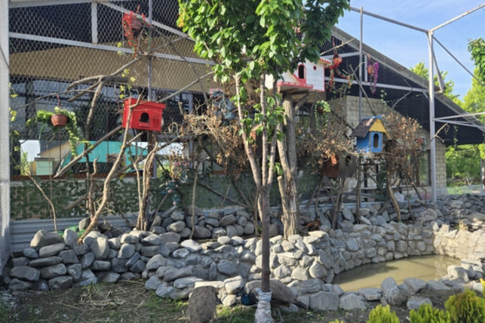 Həm turizm, həm də iş imkanı: Qaxda yeni ekopark