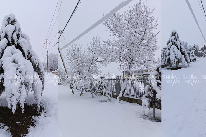Şimala yağan qar fəsadlara yol açdı