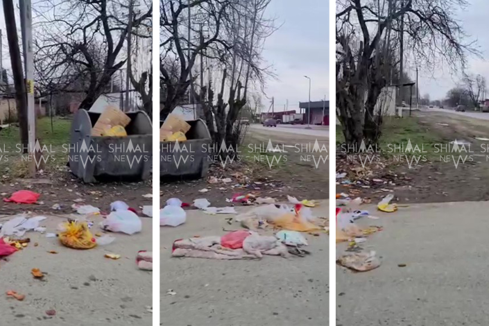 Qubanın Alekseyevka kəndində antisanitar vəziyyət: Sakinlər narazıdır