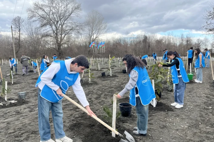 IDEA könüllüləri Zaqatalada kütləvi ağacəkmə aksiyası keçirib