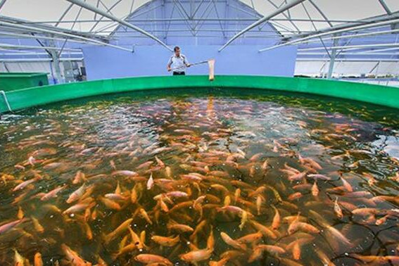 Zaqatalada yeni aqrar inkişaf mərhələsi müzakirə olunub