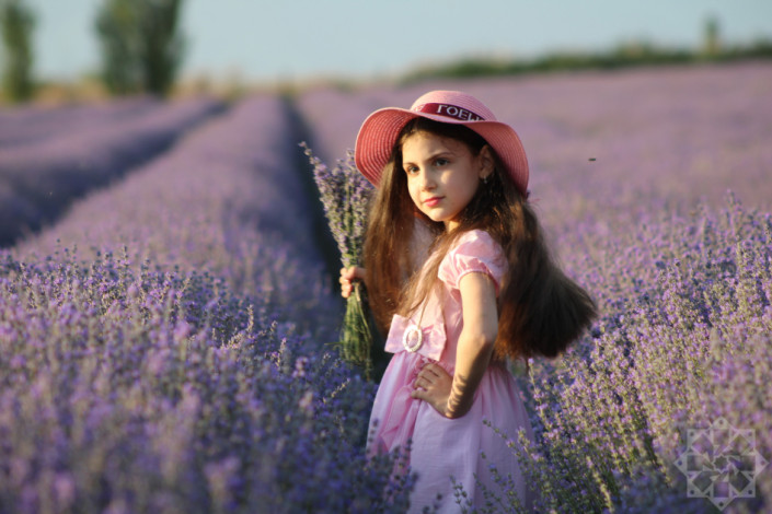 Qəbələnin bənövşəyi möcüzəsi: Lavanda sahələri