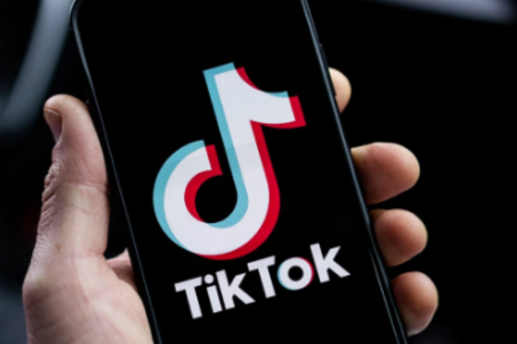 "TikTok"da qeyri-etik ifadələr işlədən Siyəzən sakini həbs olundu