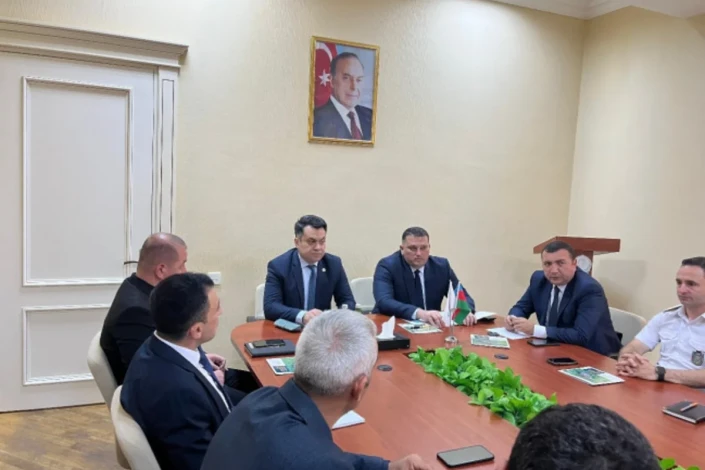 Şimalın bəzi kəndlərində Amerika ağ kəpənəyi yayılıb