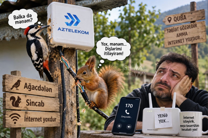 "Aztelekom"un ağacdələn və sincab macərası – Qubada internet düzəlmir