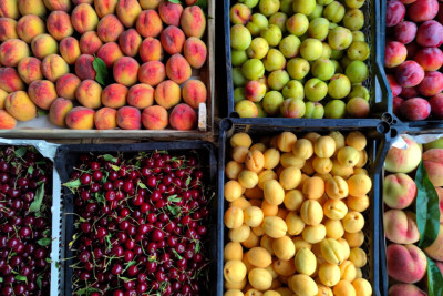 Şimal rayonları və Bakı üçün meyvə-tərəvəzin qiymət müqayisəsi