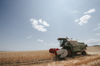 Quba-Xaçmazda taxıl sahəsini necə sığortalamaq olar: qiymətlər və şərtlər