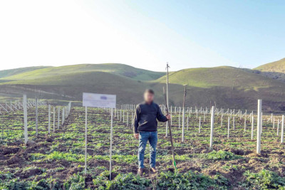 Şimal bölgəsində özünüməşğulluq proqramına dəstək davam edir