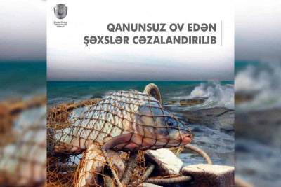 Qanunsuz ov edən Xaçmaz sakinləri tutulublar