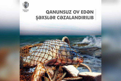 Xaçmaz sakini brakonyerlik edib