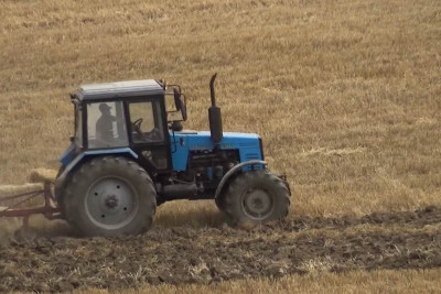 Quba: bu il taxıl sahələrindən yüksək məhsuldarlıq əldə olunub