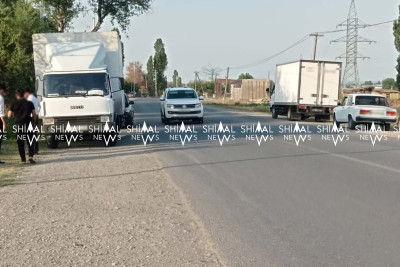 Yolu keçən pişik Xaçmaz-Quba yolunda qəzaya səbəb olub