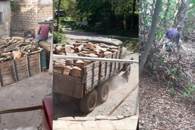 Quba: Şahdağ Milli Parkında ağaclar qanunsuz olaraq kəsilir