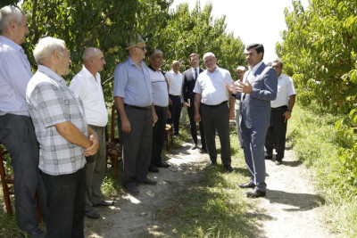 İcra başçısı Elnur Rzayev Xaçmazın şaftalı bağlarında olub
