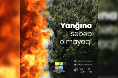Qubada meşə yanğını başlayıb