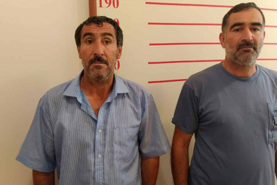 Qubada meşə zolağında narkotik tərkibli bitkilər aşkar edilib