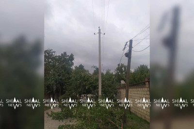 Quba: təhlükə saçan ağac budanıb