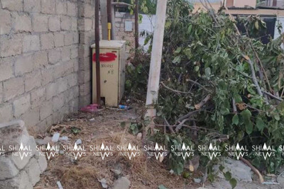 Xaçmazda zibil qutusu və onun ətrafı narazılıq yaradır