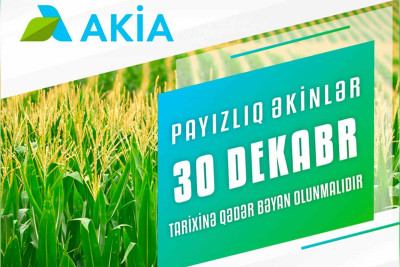 Şimal: əkin subsidiyaları üçün bəyanlar başlayıb