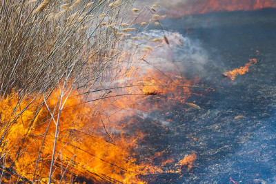 İsmayıllı: Qalagah kəndində yanğın olub