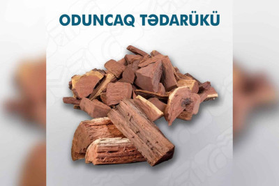 Şimal bölgəsində oduncaq tədarükü davam edir