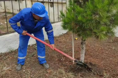 Xaçmazda "Neftçilər günü" ilə əlaqədar abadlıq işləri aparılıb