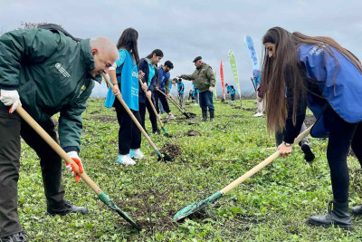 ETSN: Qubada 350 kiloqram ağac toxumu səpilib