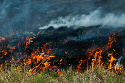 İsmayıllı: Əhən kəndində yanğın baş verib