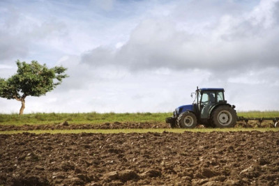 İsmayıllıda payızlıq taxıl səpini başa çatıb