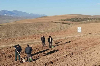 ETSN: Qubanın meşəlik ərazilərində torpaq hazırlıq işləri həyata keçirilir