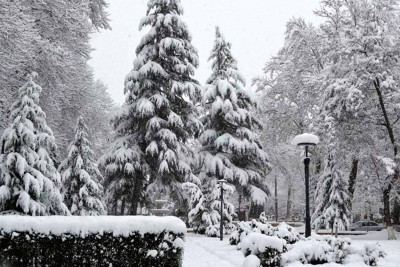 ETSN: Şahdağ Milli Parkında qarlı hava mənzərə yaradıb