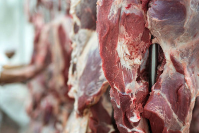 İsmayıllı: heyvan kəsimi məntəqəsində nöqsanlar aşkar edilib