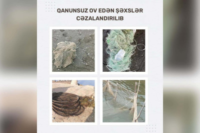Xaçmaz ərazisində qanunsuz ov edən şəxs cəzalandırılıb
