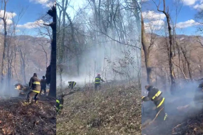 “Şahdağ” Milli Parkında yanğın başlayıb