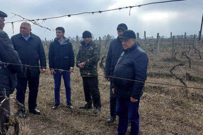 İsmayıllıda üzümçü fermerlərlə seminar keçirilib