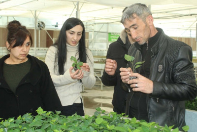 Quba: toxumçuluq, şitilçilik və tingçilik üzrə mütəxəssislər hazırlanacaq