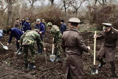 Quba, Şabran və digər bölgələrdə ağac tingi əkilib