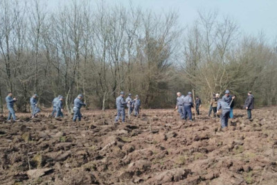Xaçmaz və Qubada ağacəkmə aksiyaları keçirilib