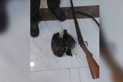 Xaçmaz ərazisində qanunsuz ovla məşğul olan şəxs saxlanılıb