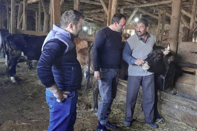 İsmayıllı: tələbələrə təsərrüfatda təlim keçirilib