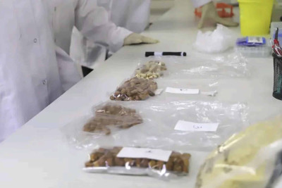 Quba: fındıqçılıqla bağlı tədbir keçirilib