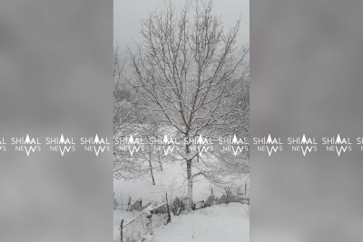 Şimalda qarın qalınlığı 15 sm olub