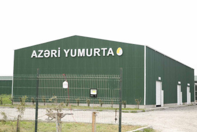 Xaçmaz: gündə 100 min yumurta istehsal edəcək fabrik tikilir