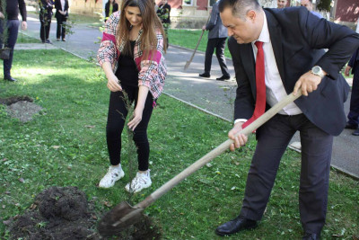 İsmayıllıda iqlimə uyğun meyvə və şam ağacları əkilib