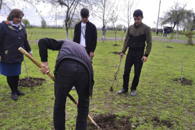 İsmayıllı: məktəblərdə iməcilik işləri keçirilib
