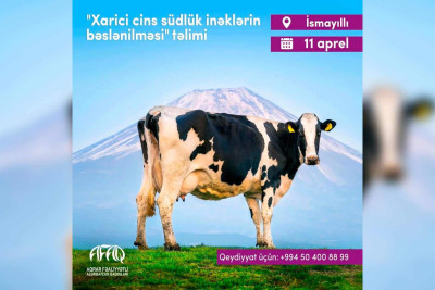 İsmayıllıda təlim: "Xarici cins südlük inəklərin bəslənilməsi"