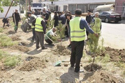 Xaçmaz şəhərində növbəti iməcilik keçirilib