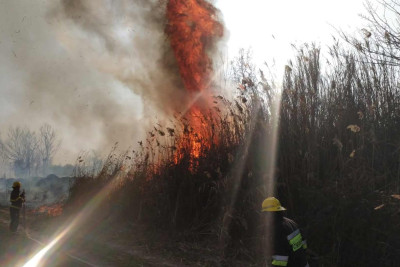 FHN: İsmayıllıda qəsdən yanğın törədilib