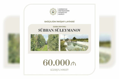 Quba: sahibkara 60.000 manat güzəştli kredit ayrılıb