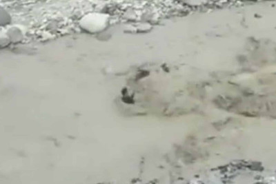 İsmayıllıda çaya düşərək atını xilas etməyə çalışan şəxs sağdır